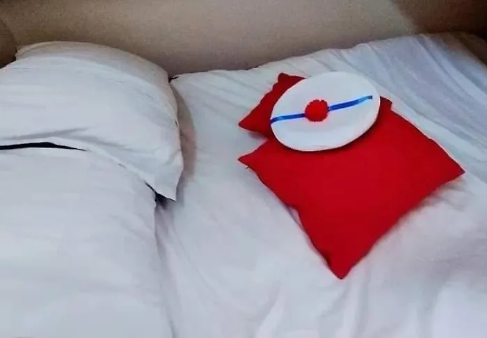 Bateau Le Cezar Botel